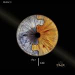 Jérémie MOLARO - F & F PHOTOGRAPHIE