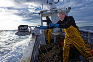 Patrice OLIVIER - PATRICE OLIVIER