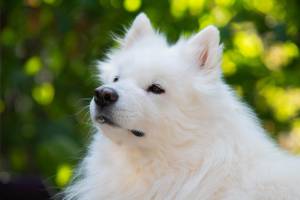 Hugo FAURY - MOON SHINE PROD